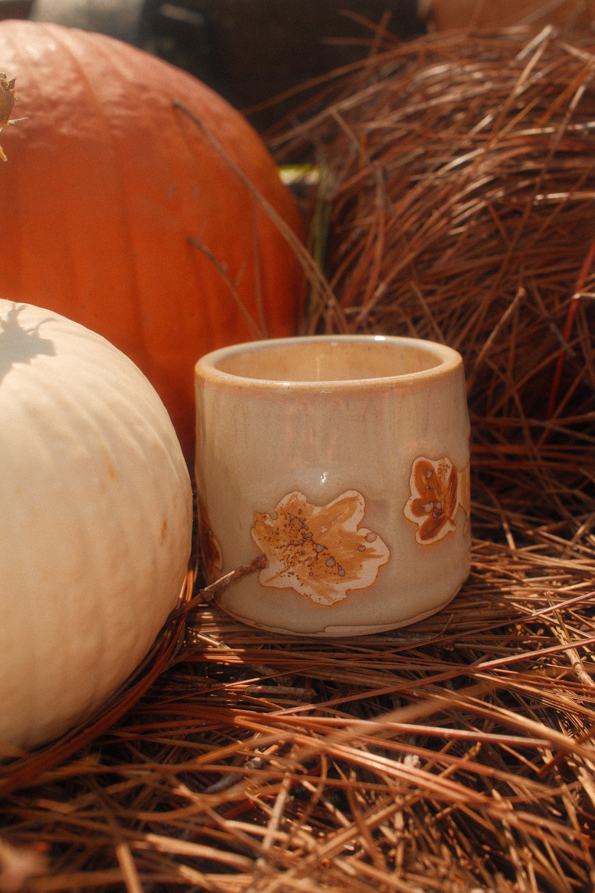 Vermont Mug