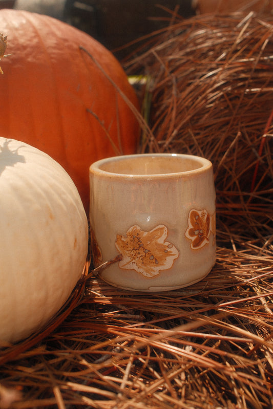 Vermont Mug