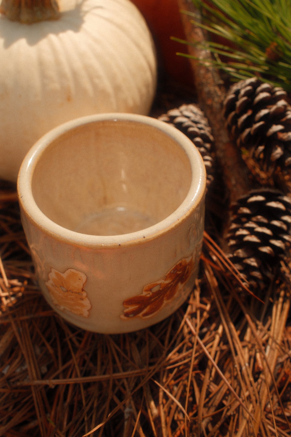 Vermont Mug